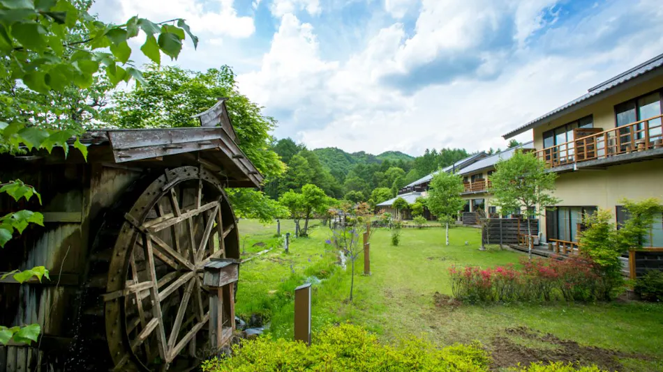 Tsutaya Kinosato Kazari