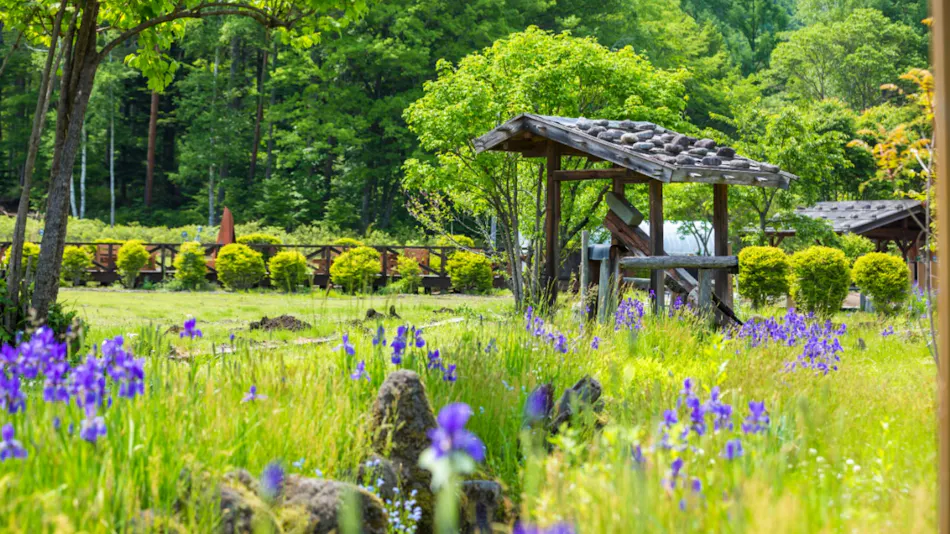 Tsutaya Kinosato Kazari
