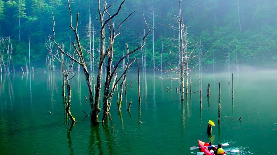 Tsutaya Kinosato Kazari