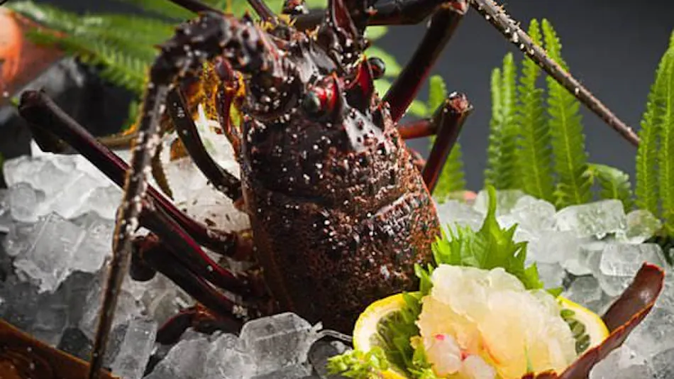 Inatorisou Inn with Spectacular Ocean View