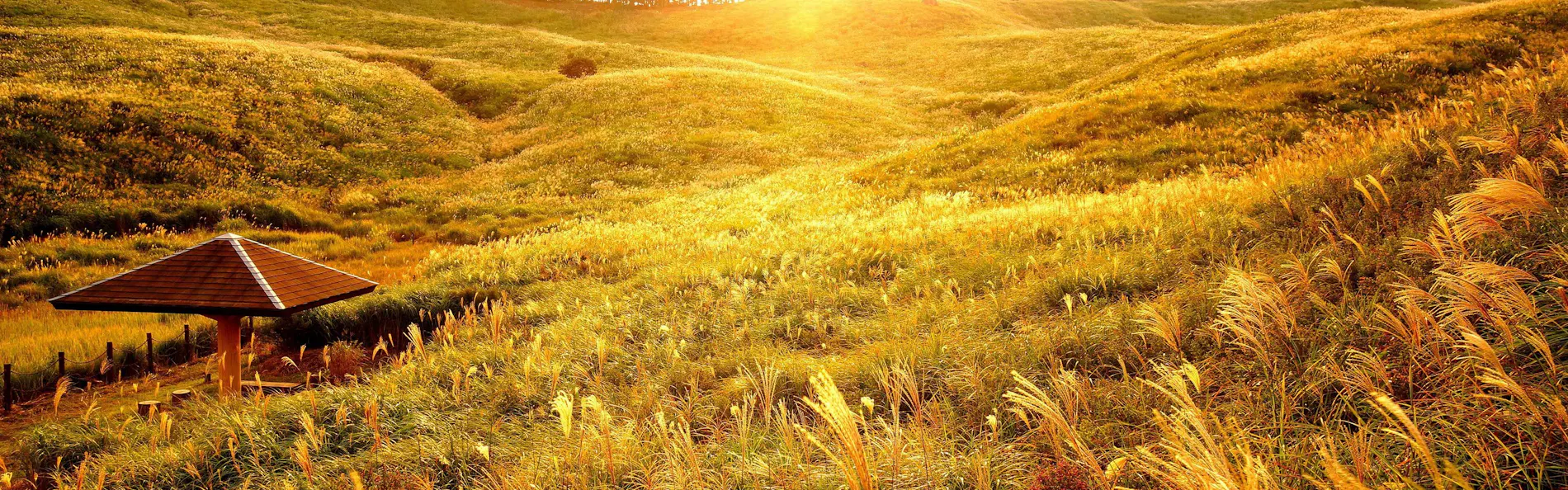 海一望絶景の宿 いなとり荘