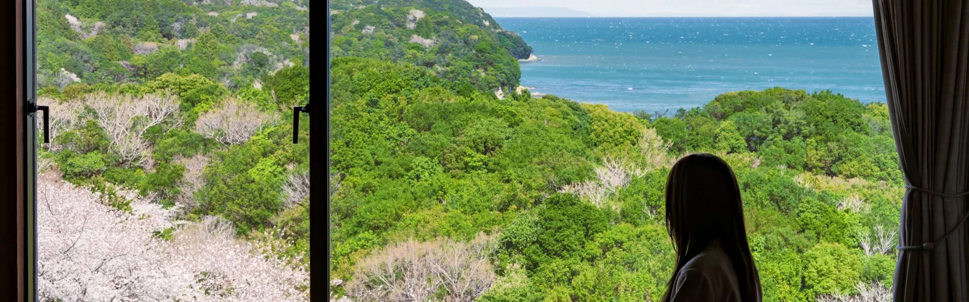 旅荘 海の蝶