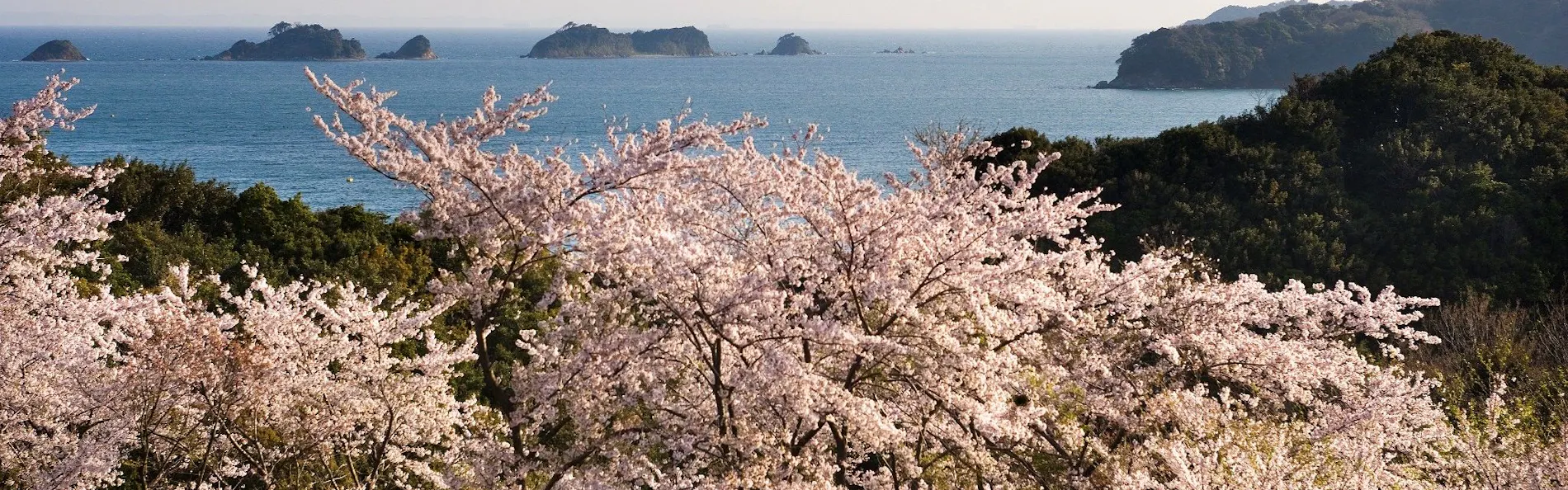 旅荘 海の蝶