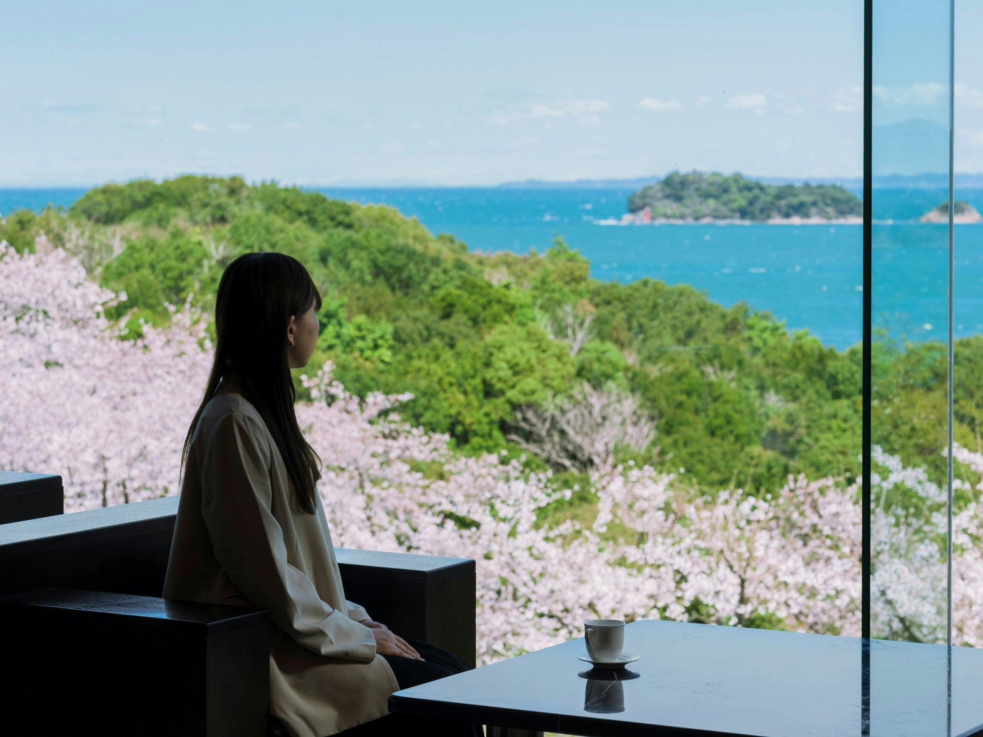 旅荘　海の蝶