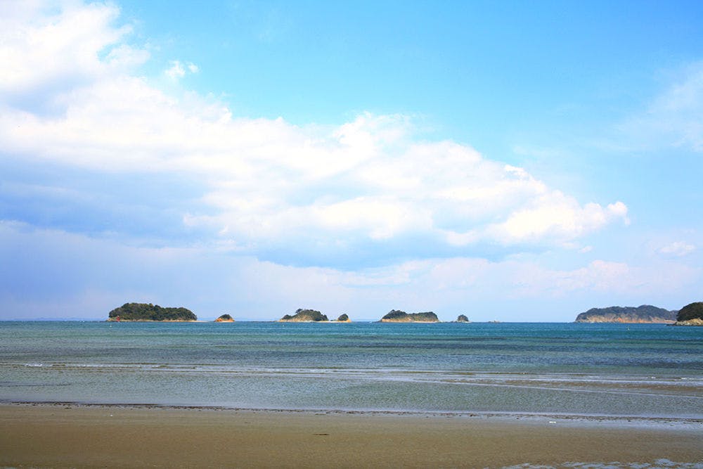 旅荘　海の蝶