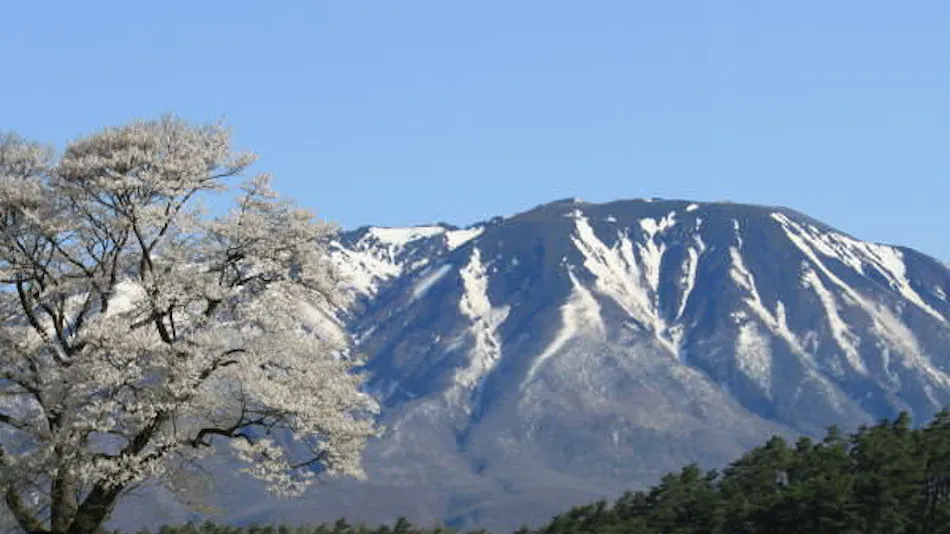 Morioka Tsunagi Onsen Hotel Shion
