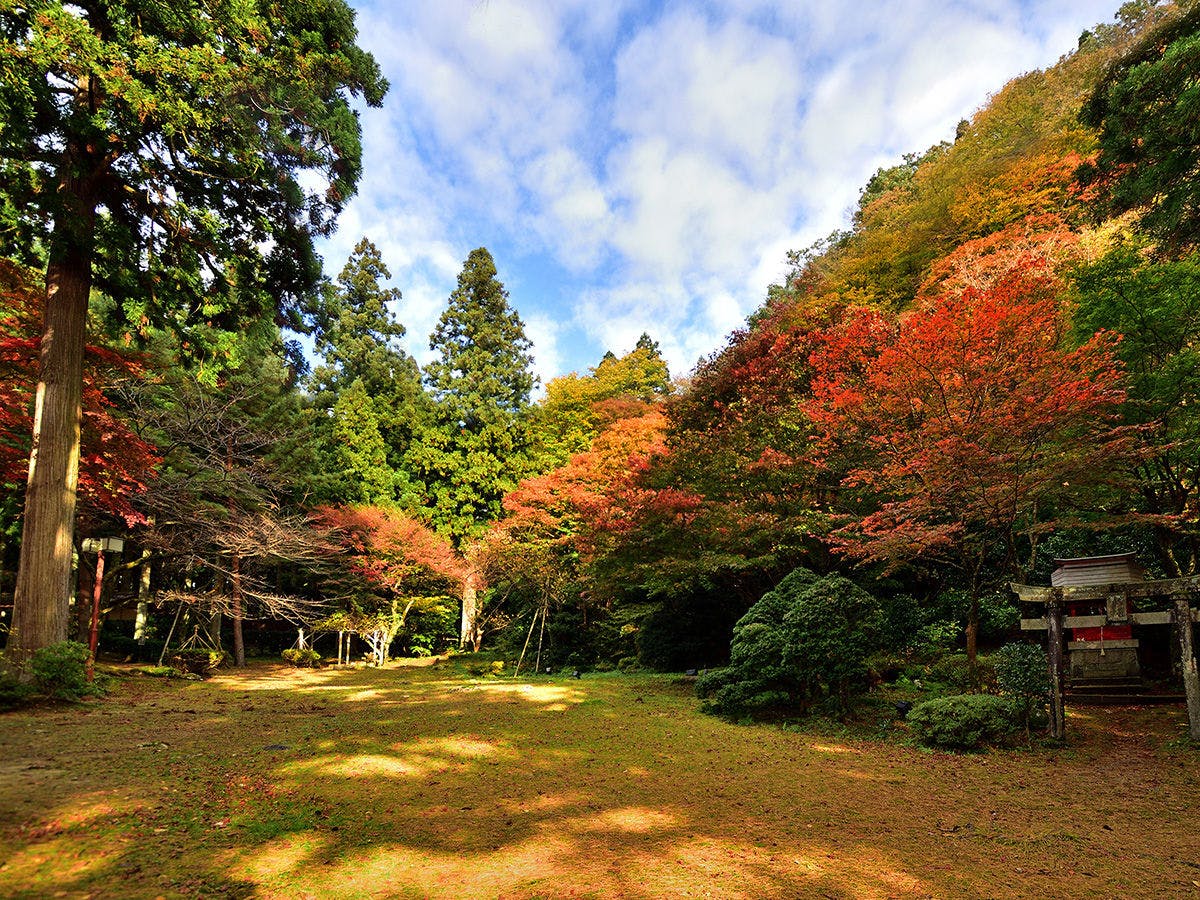 風雅の宿　長生館