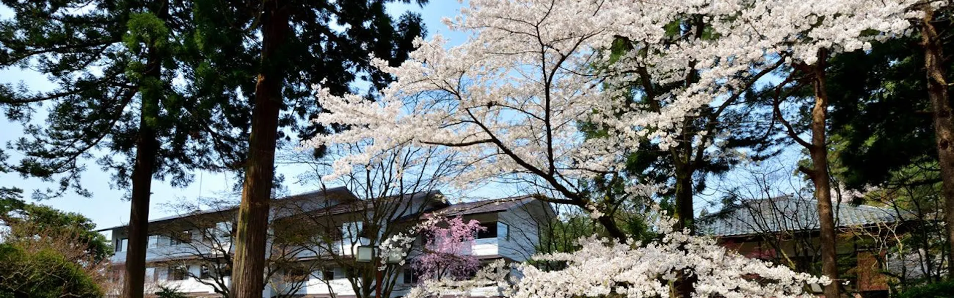 風雅の宿 長生館