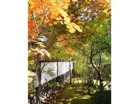 天童荘