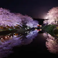 ทตโตริ ฮานะไคโร