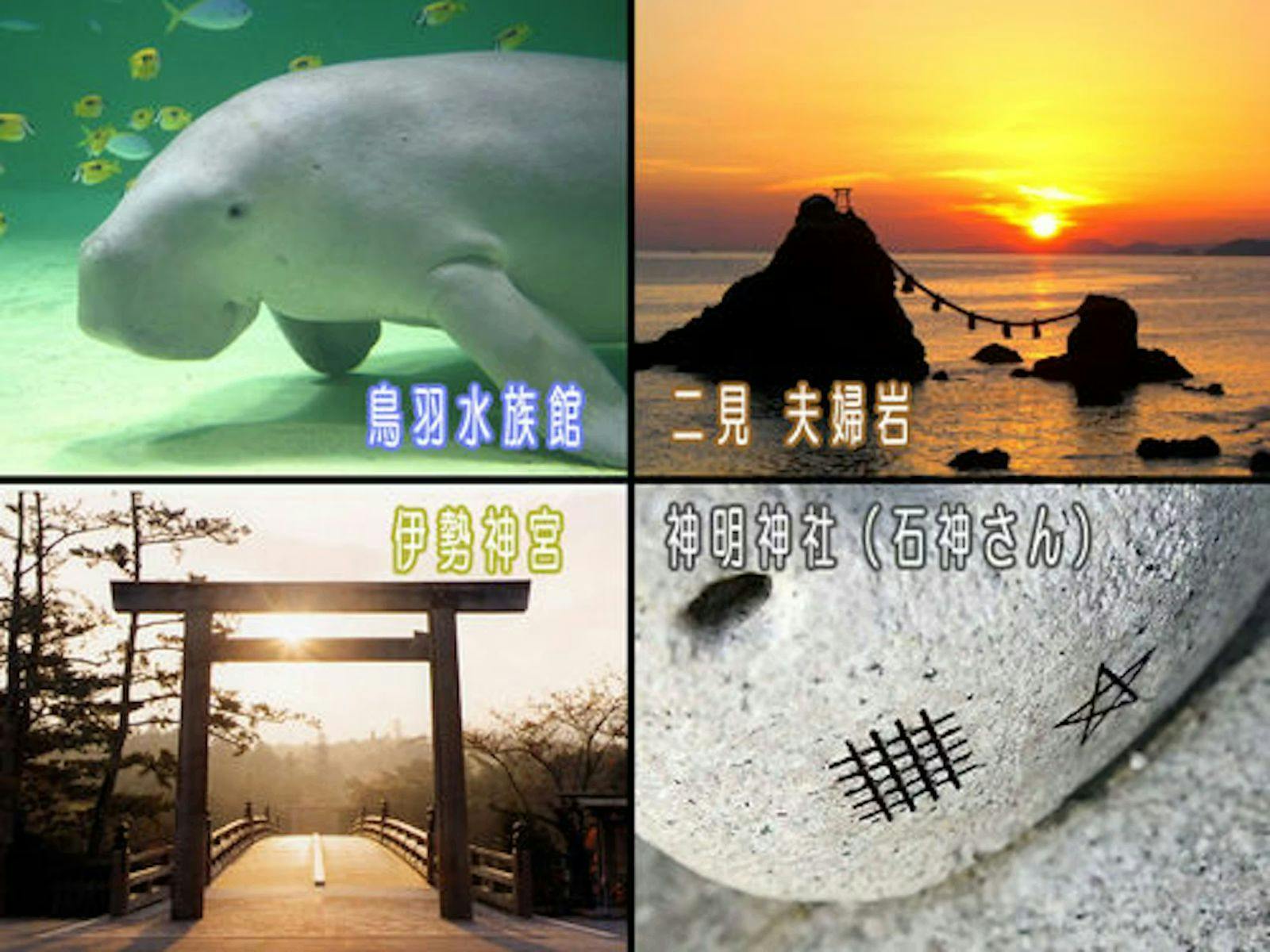 サン浦島　悠季の里