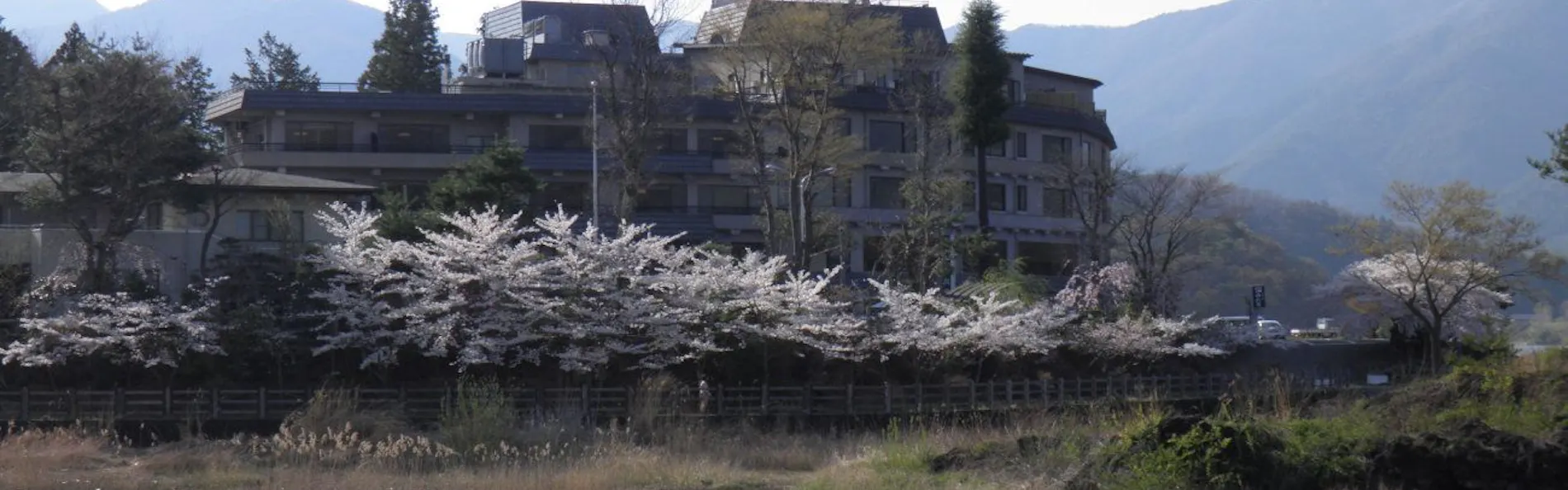 若草の宿 丸栄
