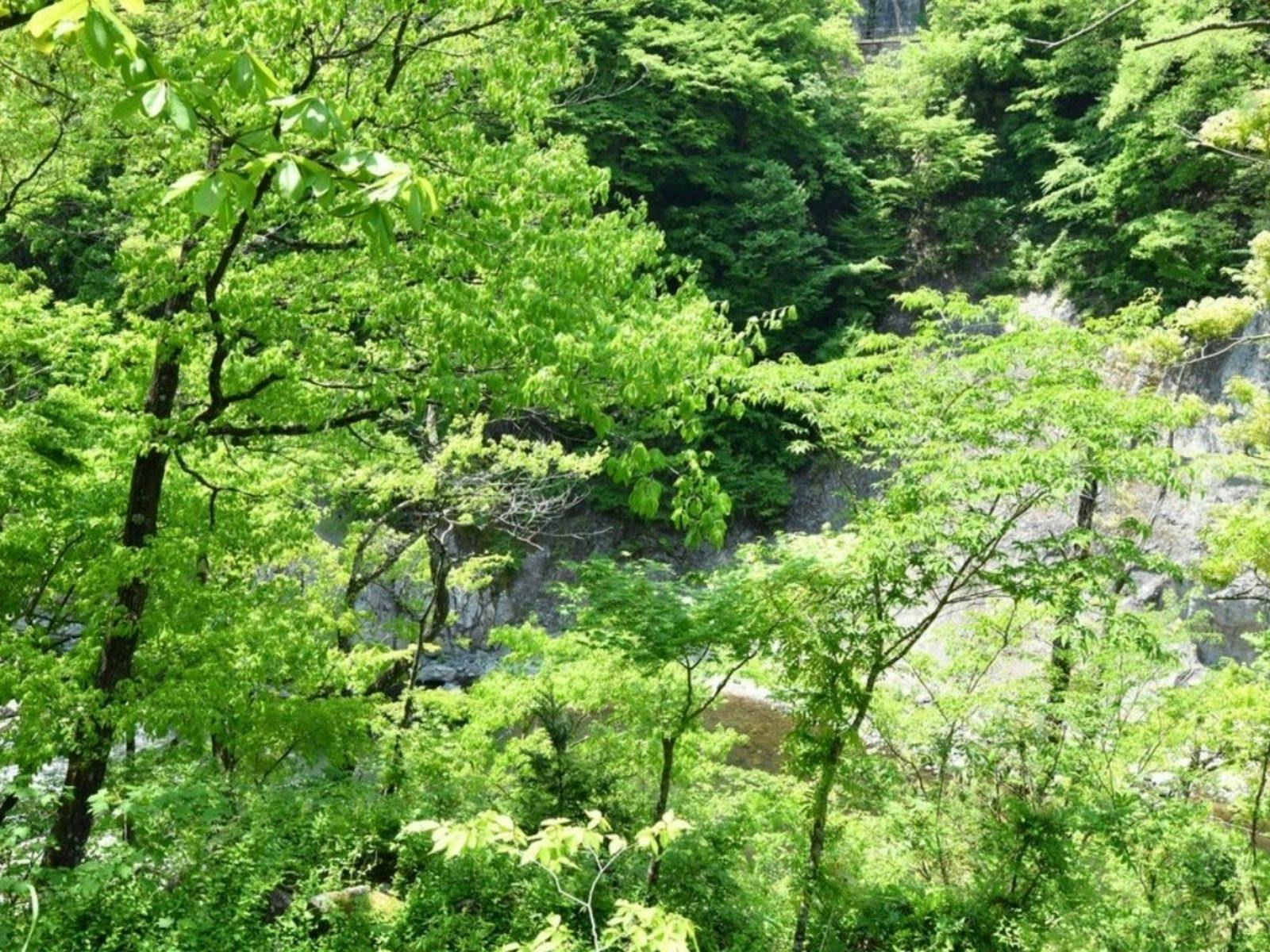 藤龍館