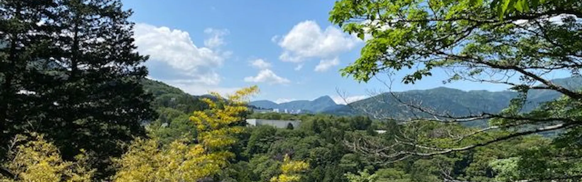 「四季の湯座敷」武蔵野別館