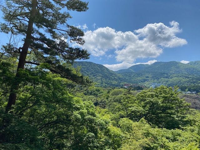 「四季の湯座敷」武蔵野別館