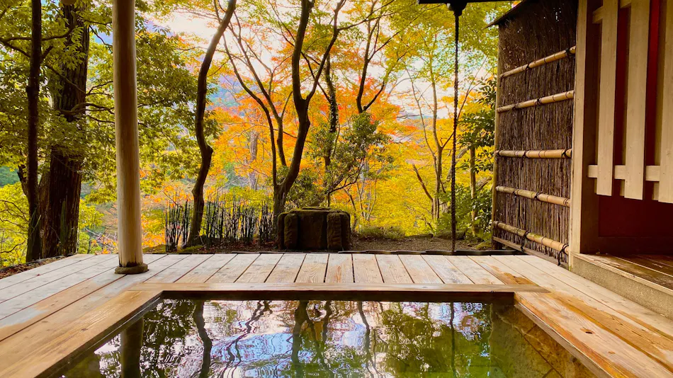 "Yuzashiki of Four Seasons" Musashino Annex