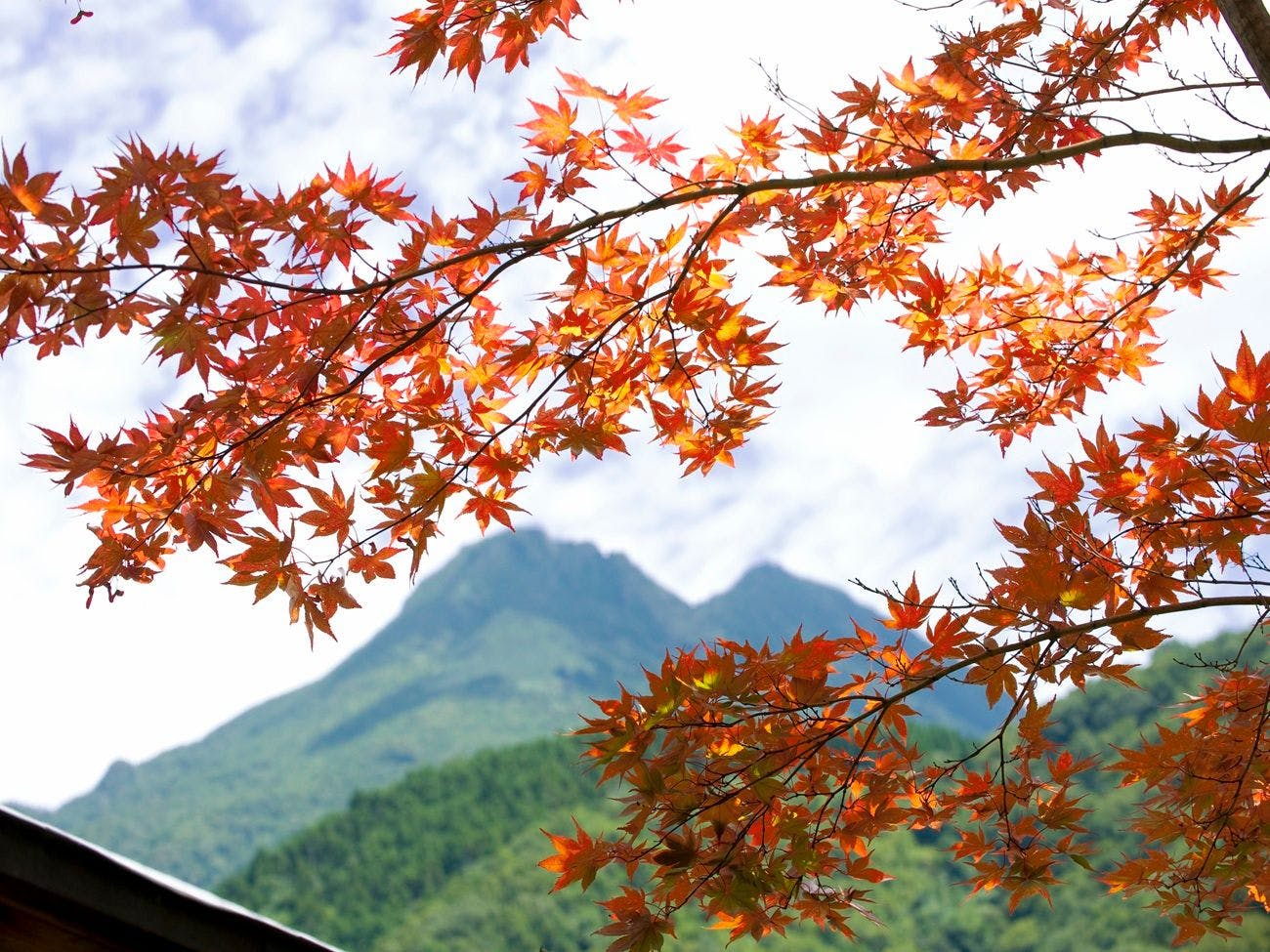 湯布院　山灯館