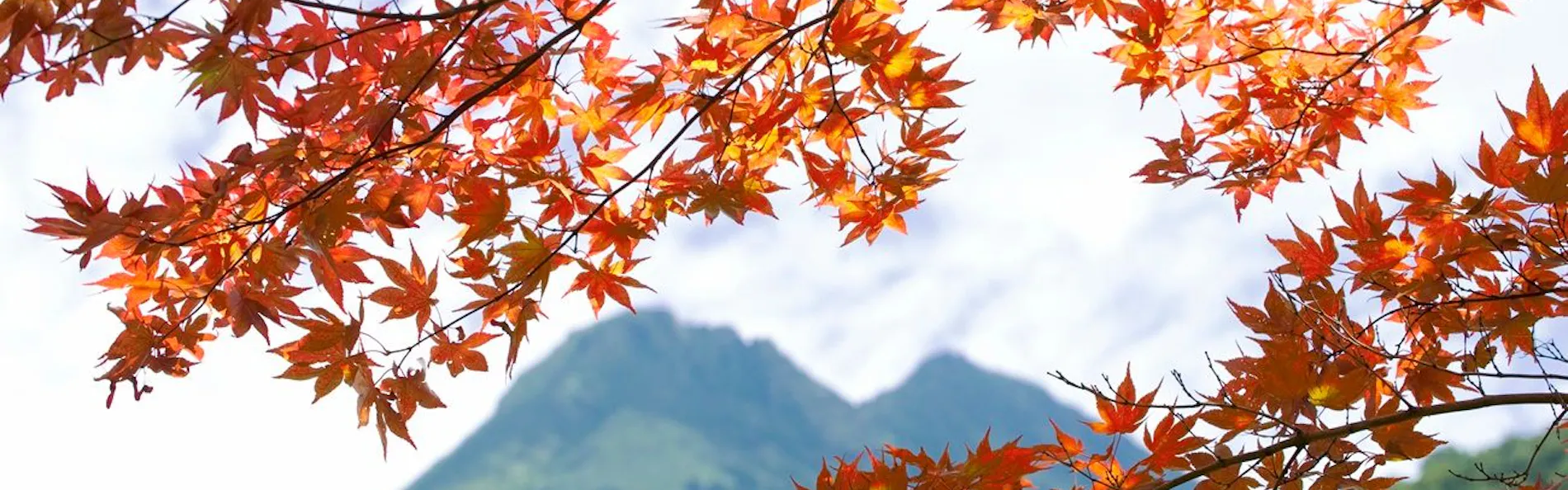 湯布院 山灯館
