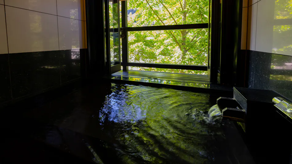 Takeda Onsen Momijikan Bettei Azare