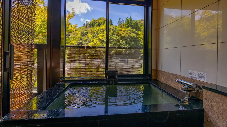Takeda Onsen Momijikan Bettei Azare