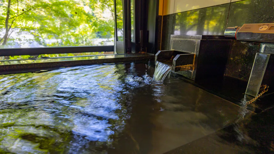Takeda Onsen Momijikan Bettei Azare