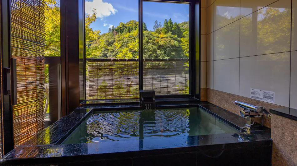 Takeda Onsen Momijikan Bettei Azare