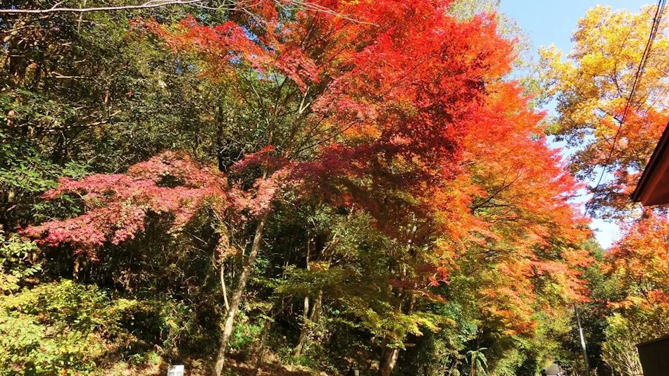 Takeda Onsen Momijikan Bettei Azare