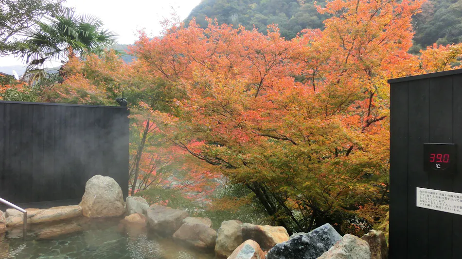 Takeda Onsen Momijikan Bettei Azare