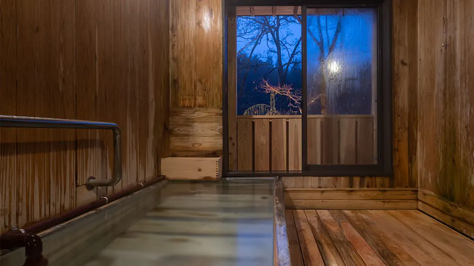 Ryokan Nushiya