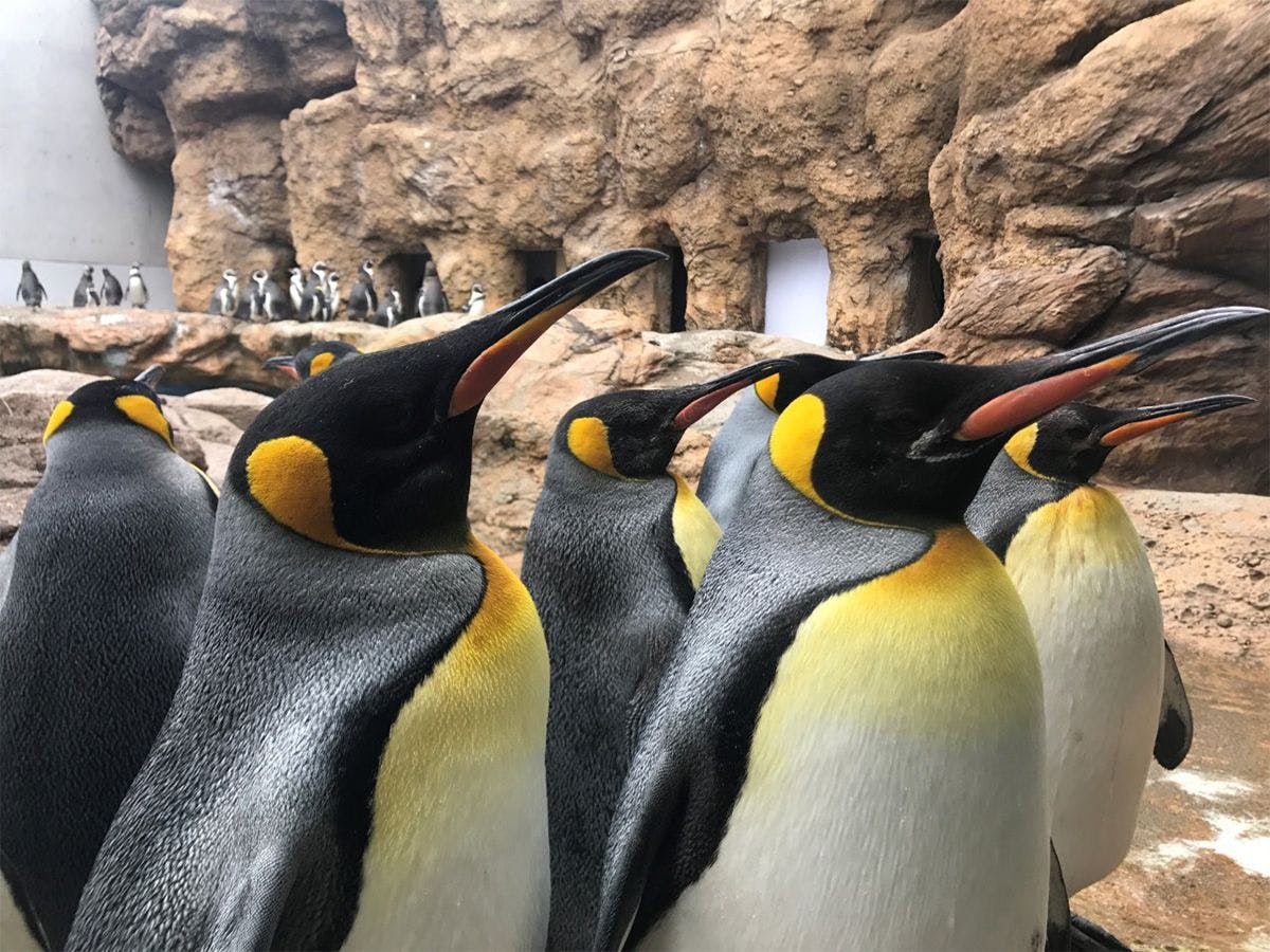旅館ぬしや