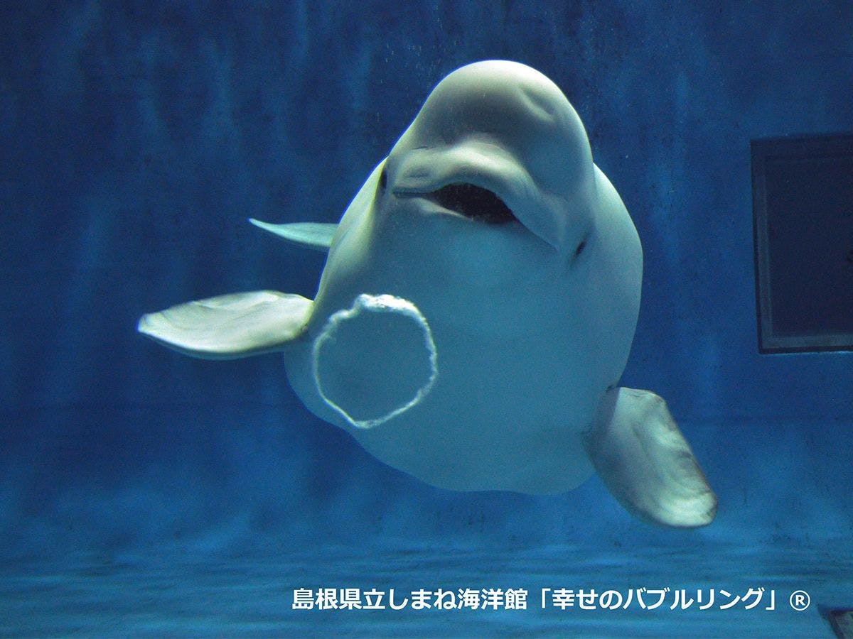 旅館ぬしや