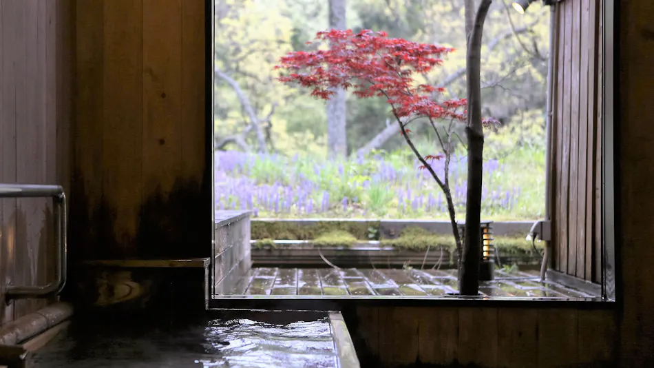 Ryokan Nushiya