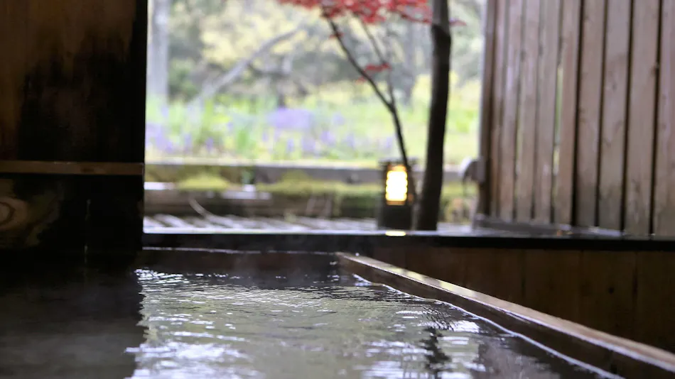 Ryokan Nushiya
