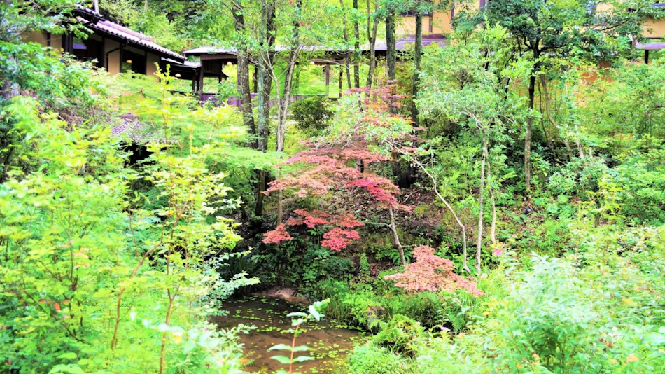 Ryokan Nushiya