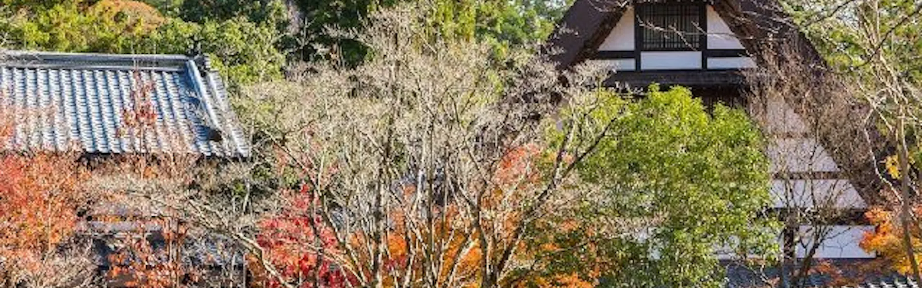 はづ合掌