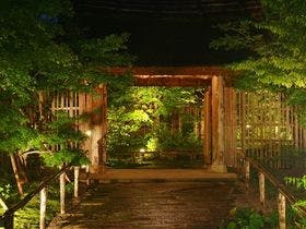 日本三美人の湯 湯宿 草菴(草庵) 2枚目