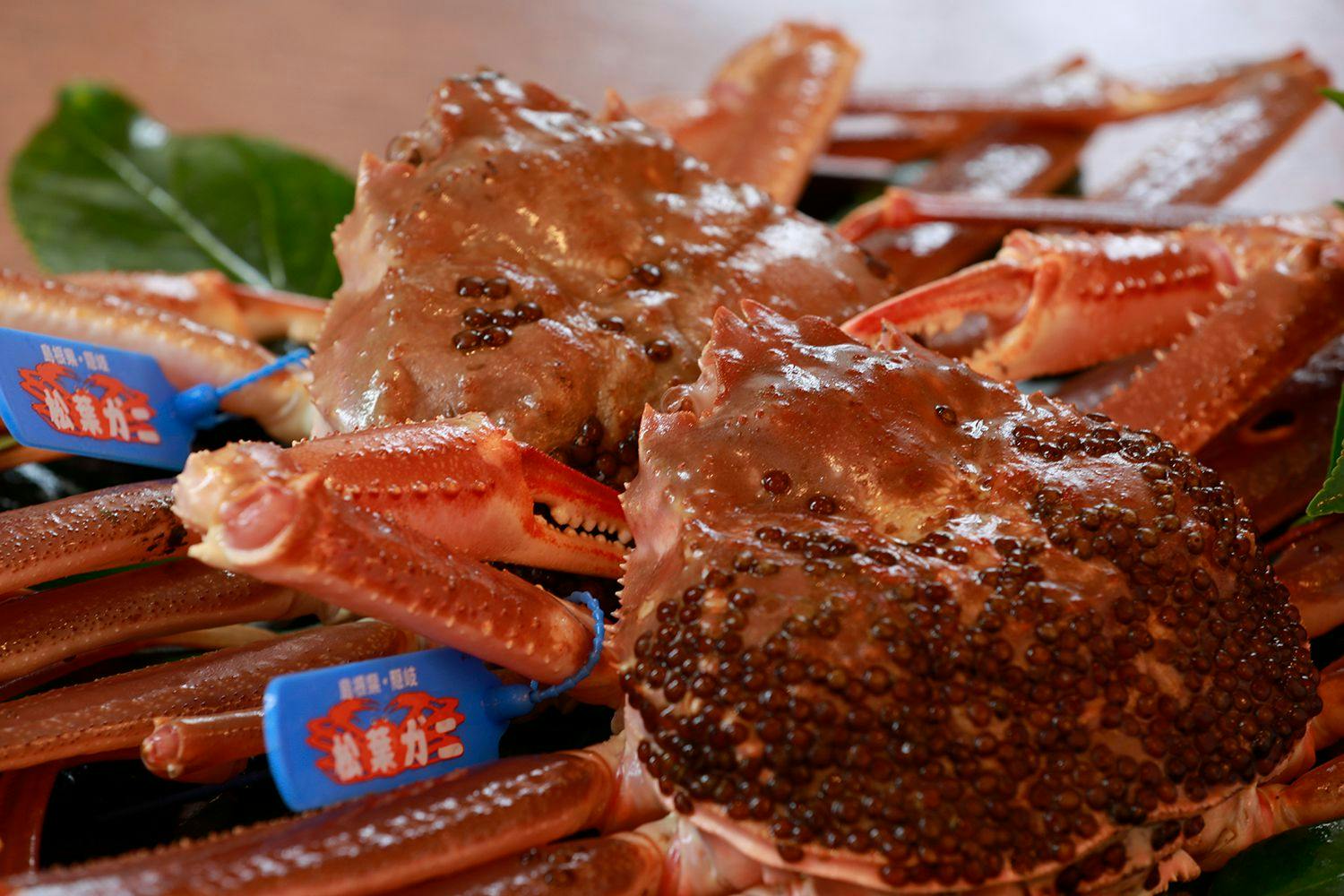 ปูมัตสึบะ