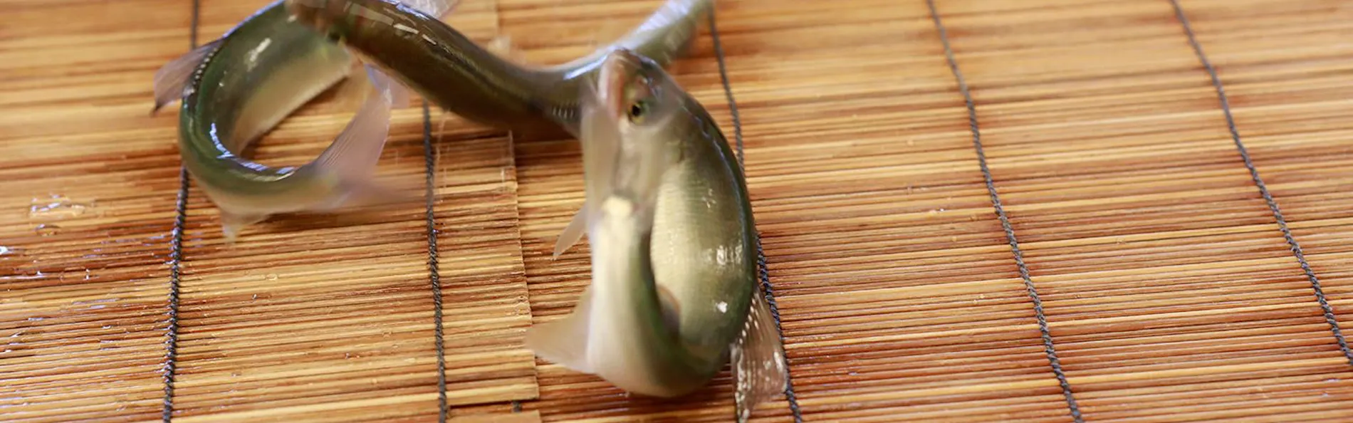 湯宿 草菴