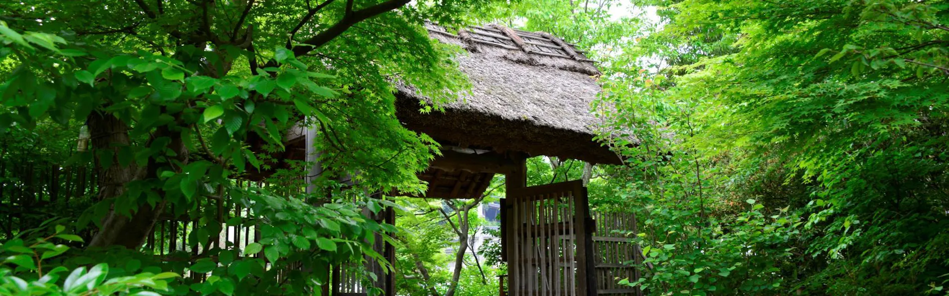 湯宿 草菴