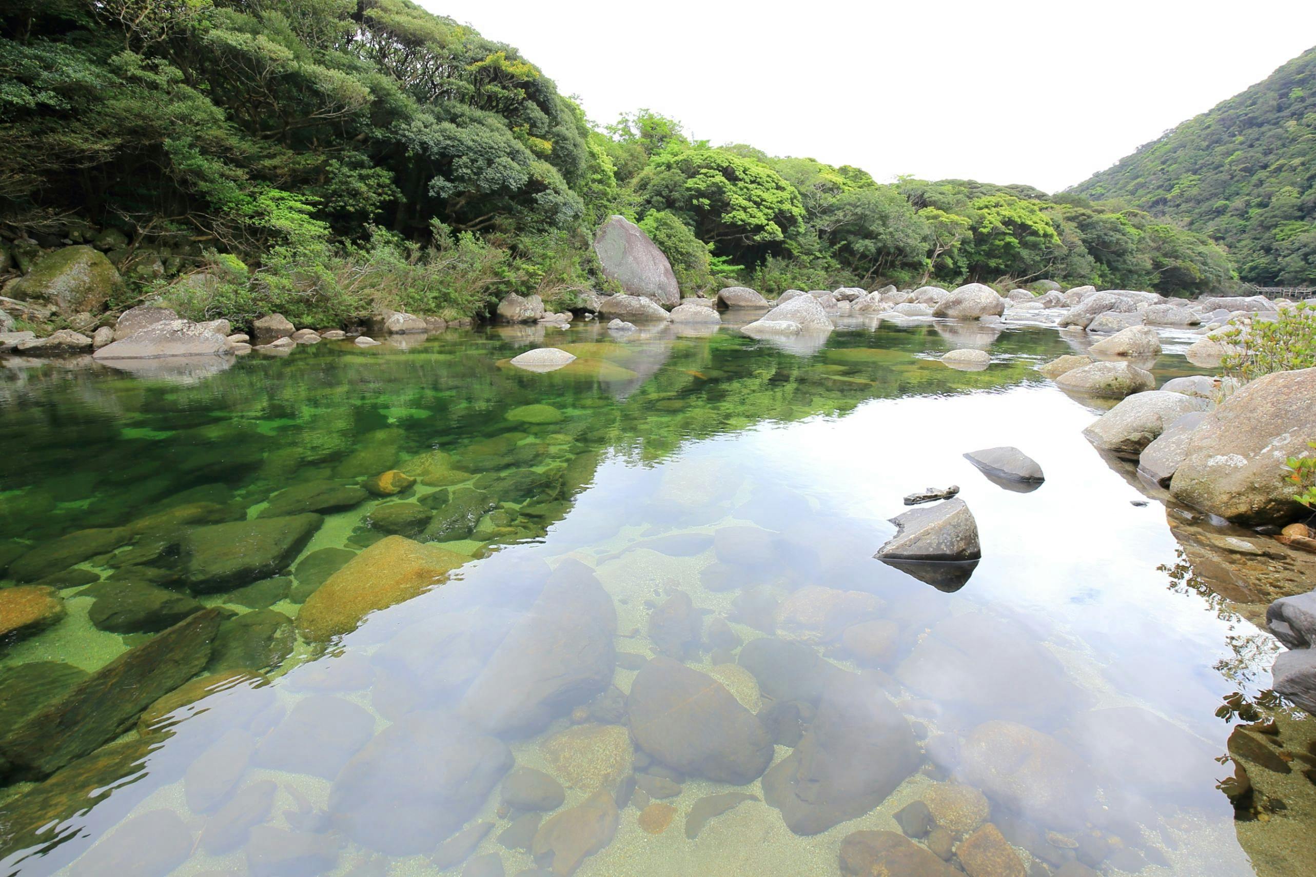 21年最新 九州 プールが人気の宿ランキング 一休 Com