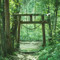 ヤクスギランド