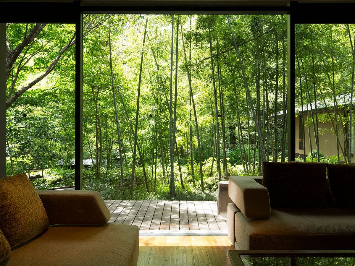 【ライブラリーラウンジ】芽吹きの季節