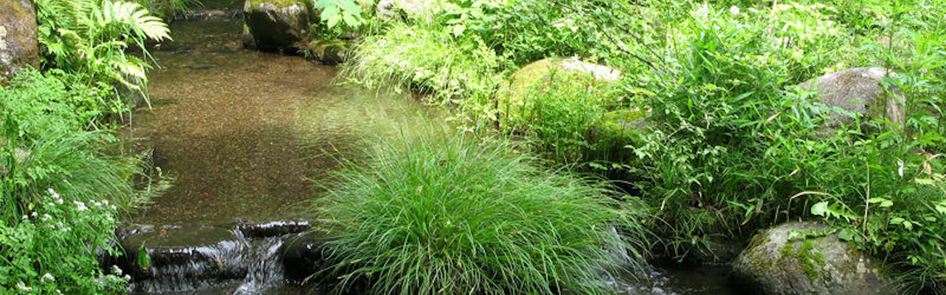 竹泉荘 CHIKUSENSO ONSEN