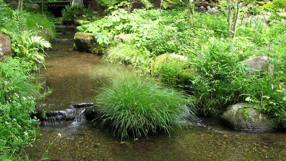 Chikusenso Onsen