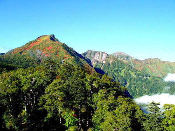 ホテル大雪 ONSEN & CANYON RESORT