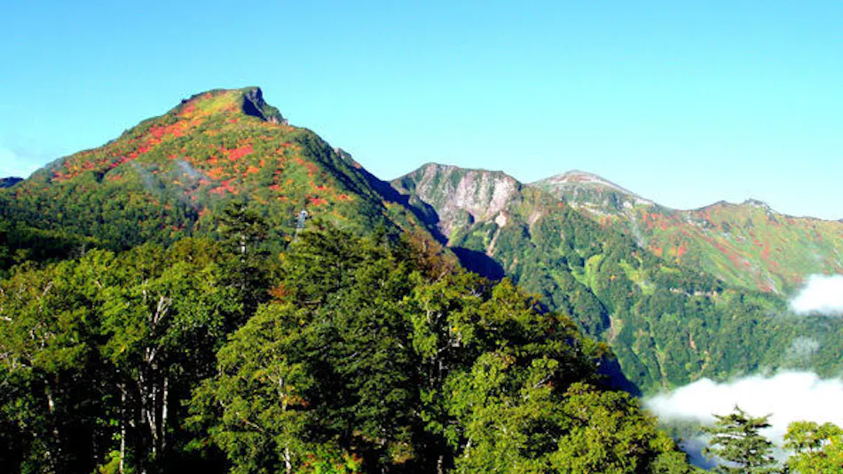 Hotel Taisetsu ONSEN & CANYON RESORT