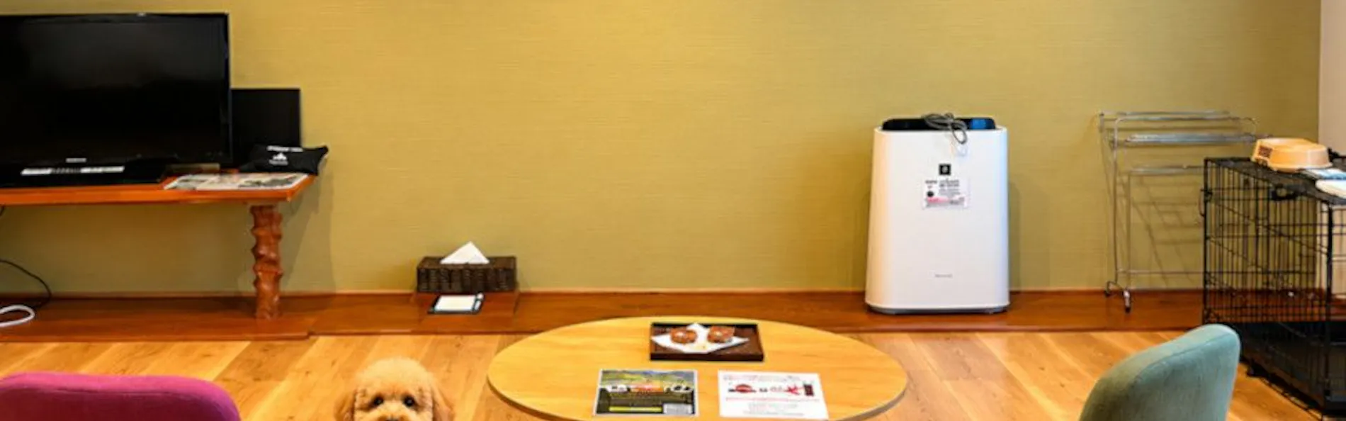 ホテル大雪 ONSEN & CANYON RESORT