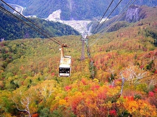 Bạn cũng có thể tận hưởng cảnh quan từ cáp treo.