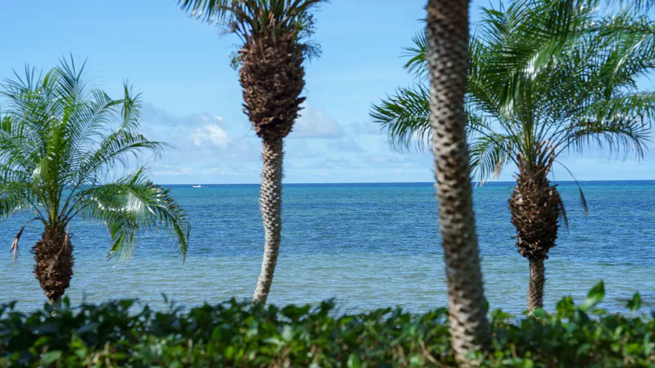 GranVrio Resort Ishigaki Island Ocean's Wing & Villa Garden