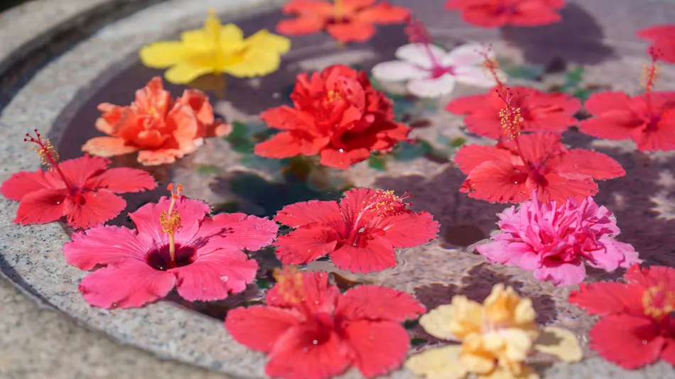 GranVrio Resort Ishigaki Island Ocean's Wing & Villa Garden